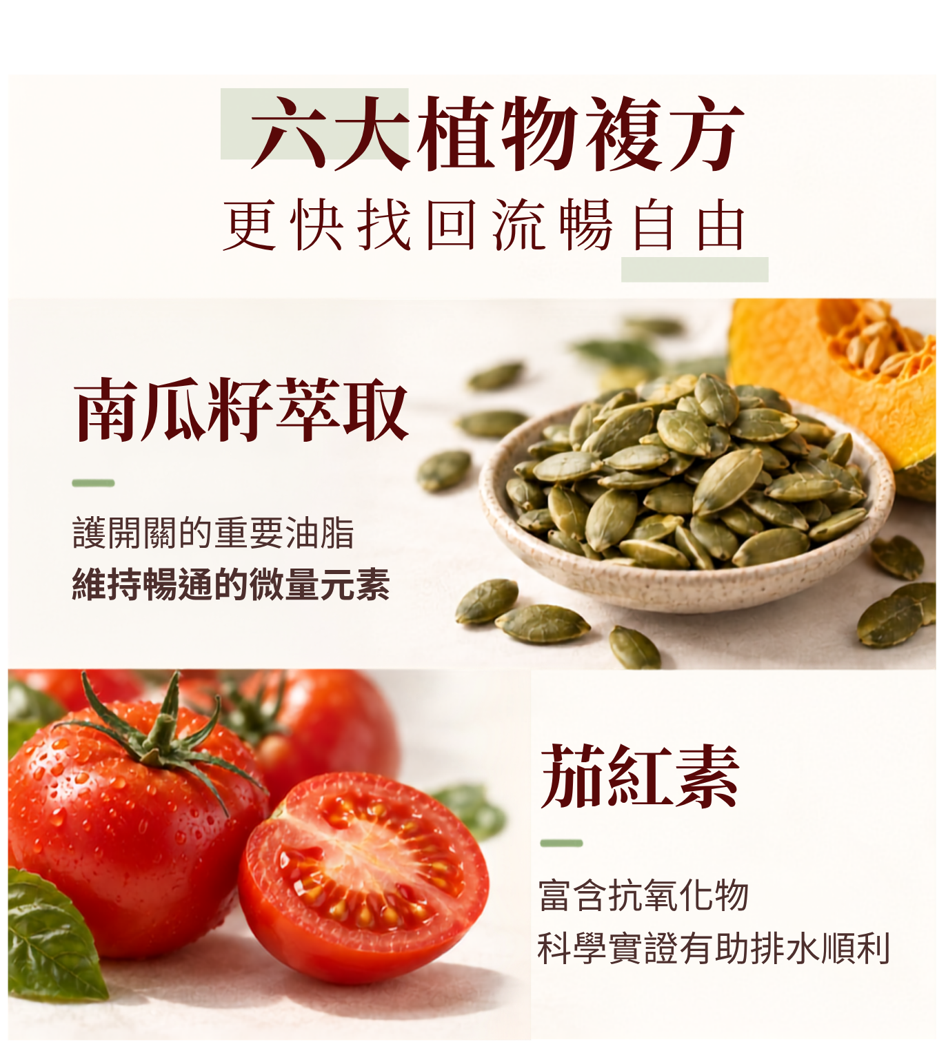 順暢7