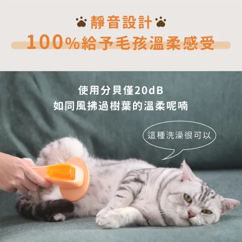 工作區域 11