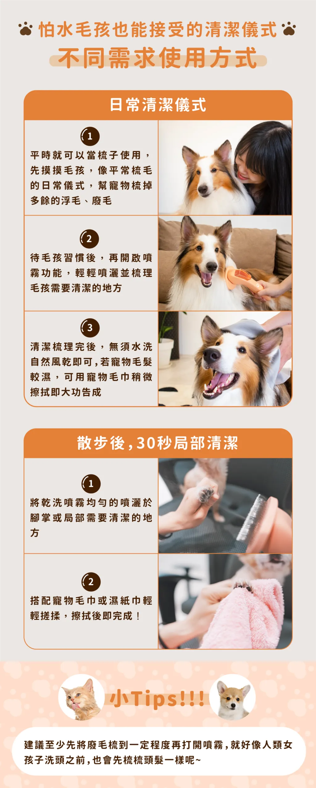 工作區域 51