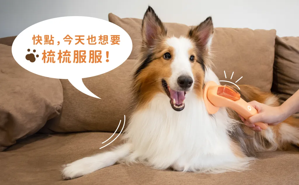 工作區域 50