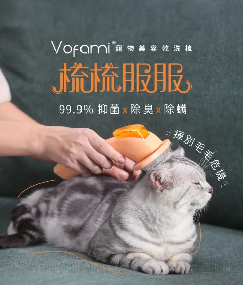 Vofami_Landing Page_banner(mob) (1)