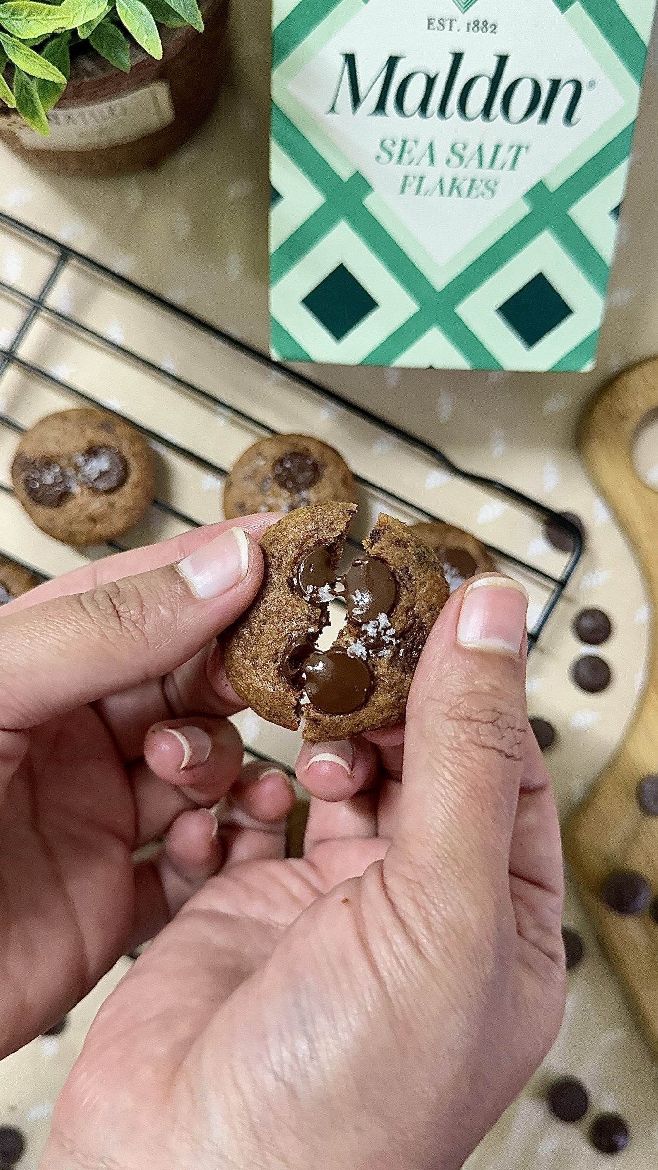 image_433B0F55-94D8-42B8-967D-07CDCA3DAF17_1759492612