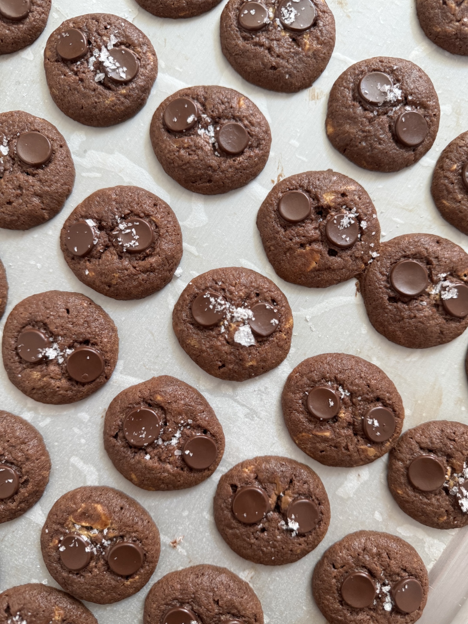 image_81ACE955-3824-4B20-84BE-4405BCBA8875_1759492805