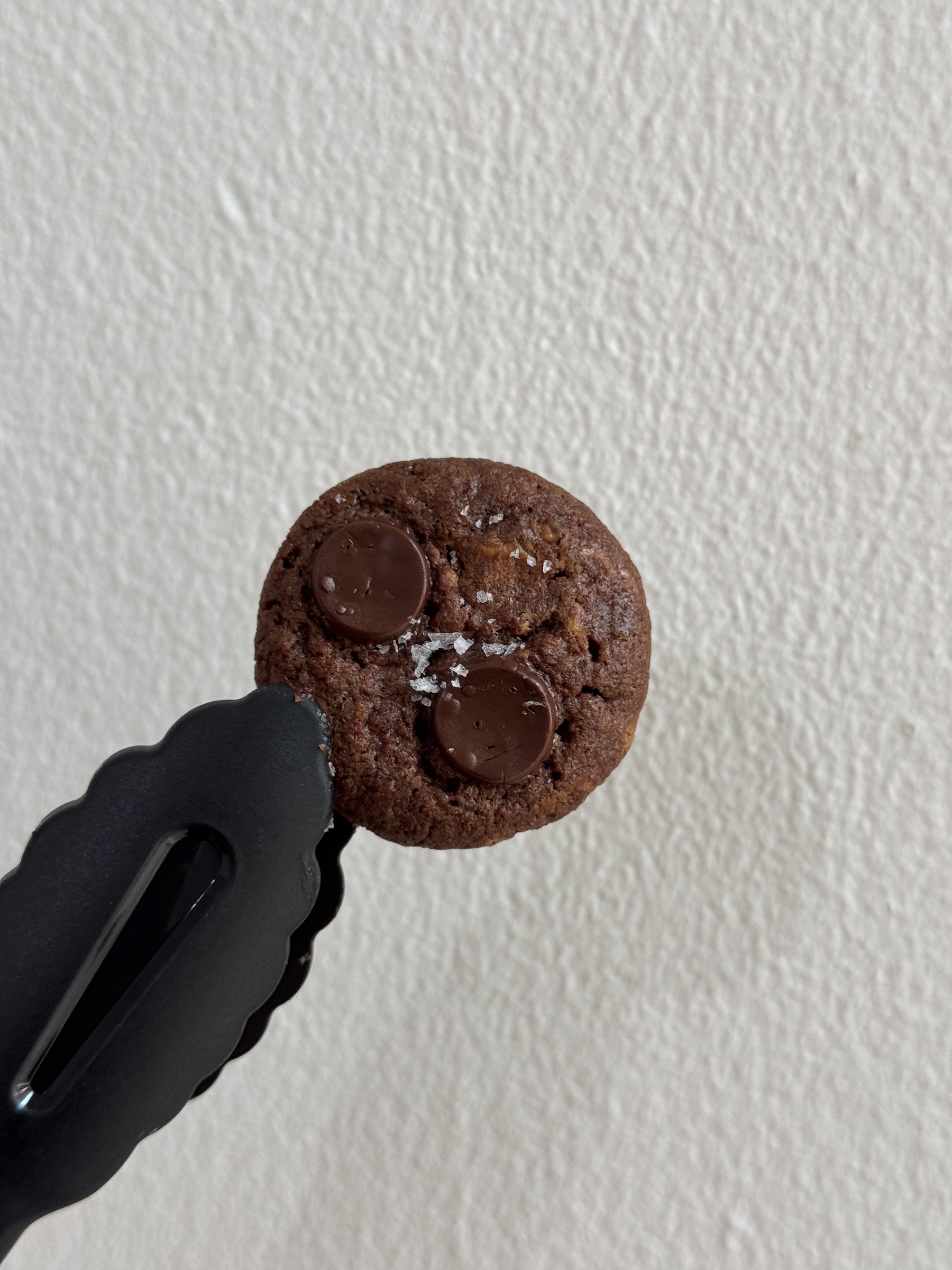 image_C6869D26-0754-4B71-B0B2-0BEFE1C1CB69_1759492807