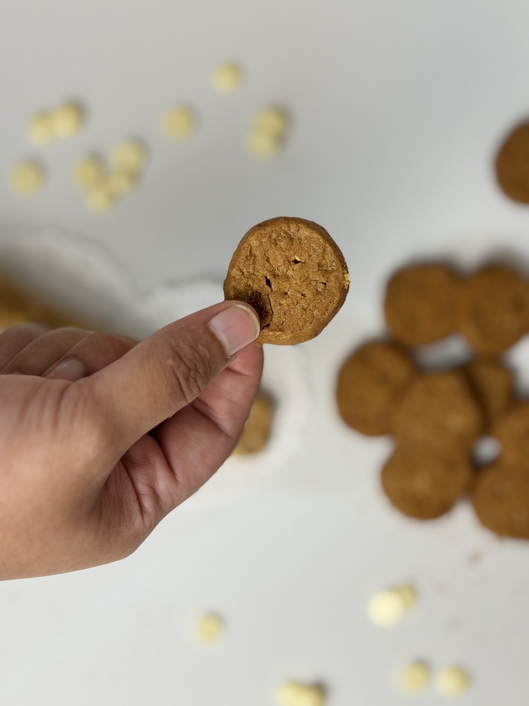 image_E0709734-5FDE-40A9-84EF-E9A3E7BA2836_1764397333