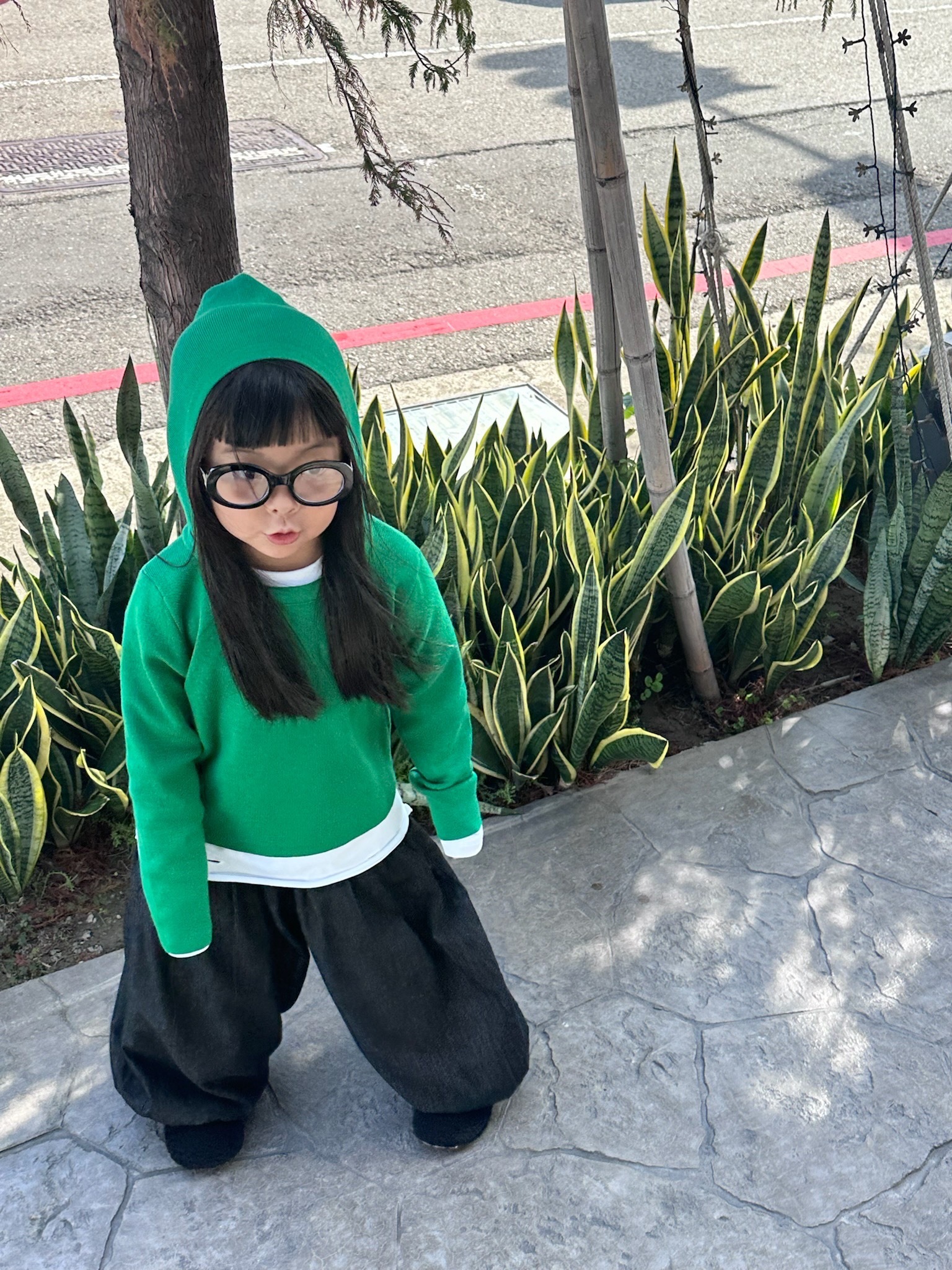 image_BC3292DD-8803-4819-8006-05DA7A0D5AA3_1765538417