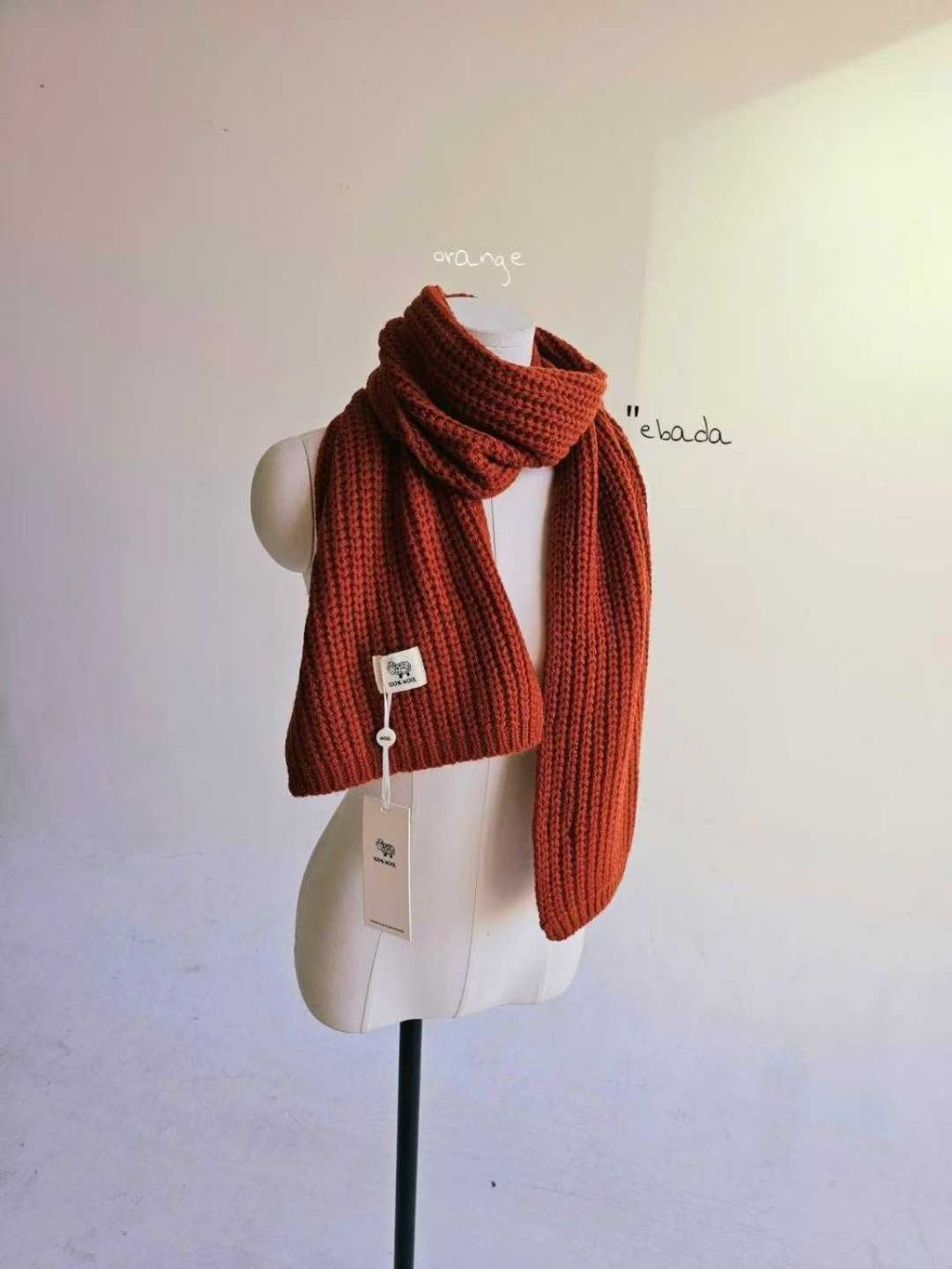 圖片_2025-11-24_234258_052