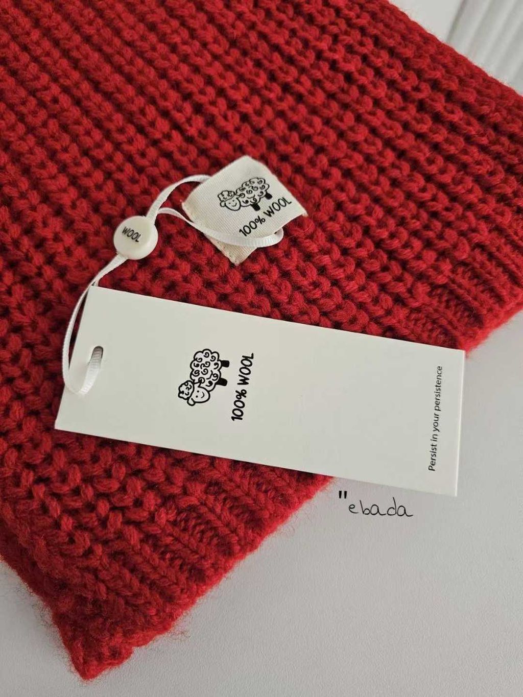 圖片_2025-11-24_234351_120