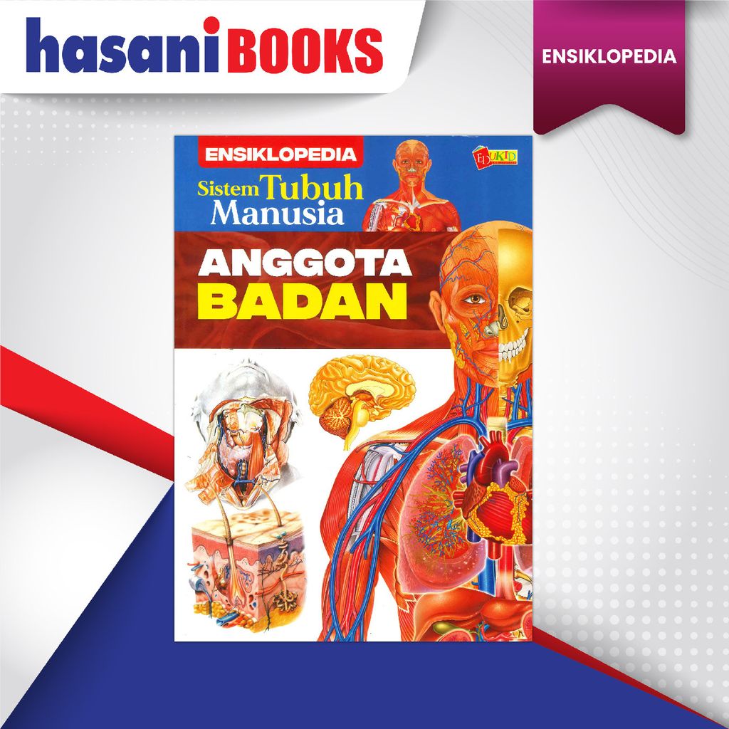 SISTEM TUBUH MANUSIA ANGGOTA BADAN-02