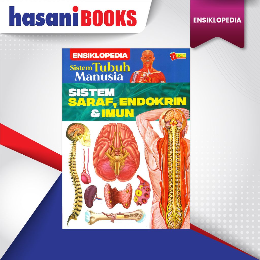 SISTEM TUBUH MANUSIA SARAF-02