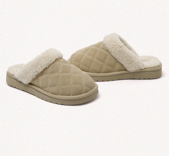 截圖 2026-01-13 14.12.25