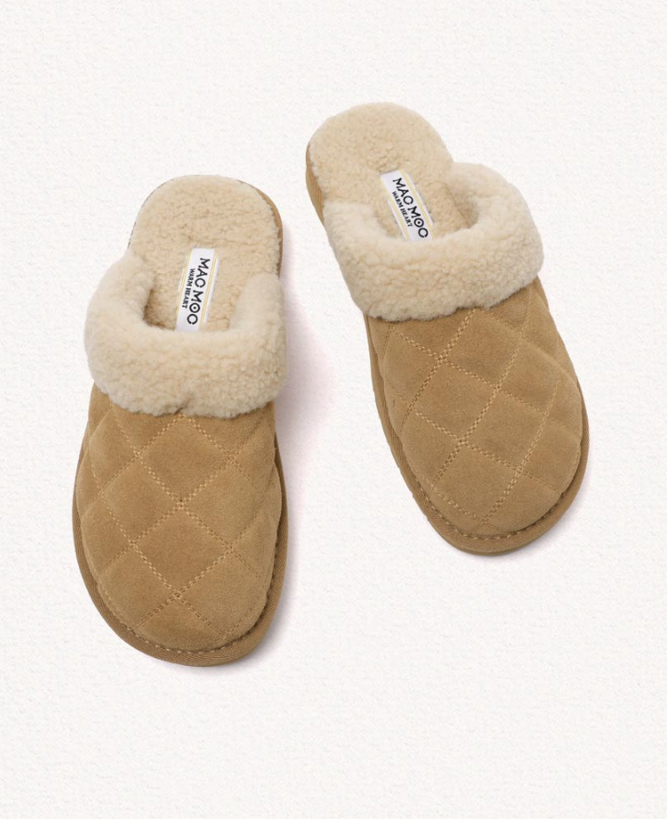 截圖 2026-01-13 00.38.16