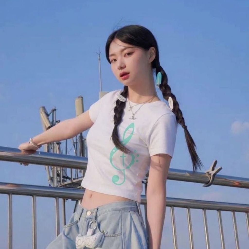 檔案比例 (1)