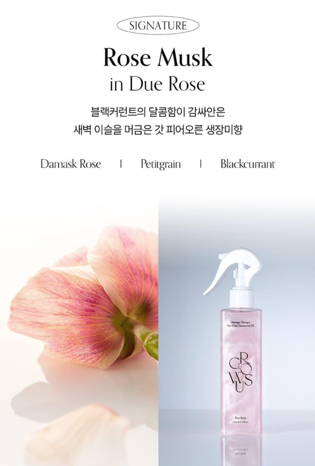 Snipaste_2025-08-30_11-39-03