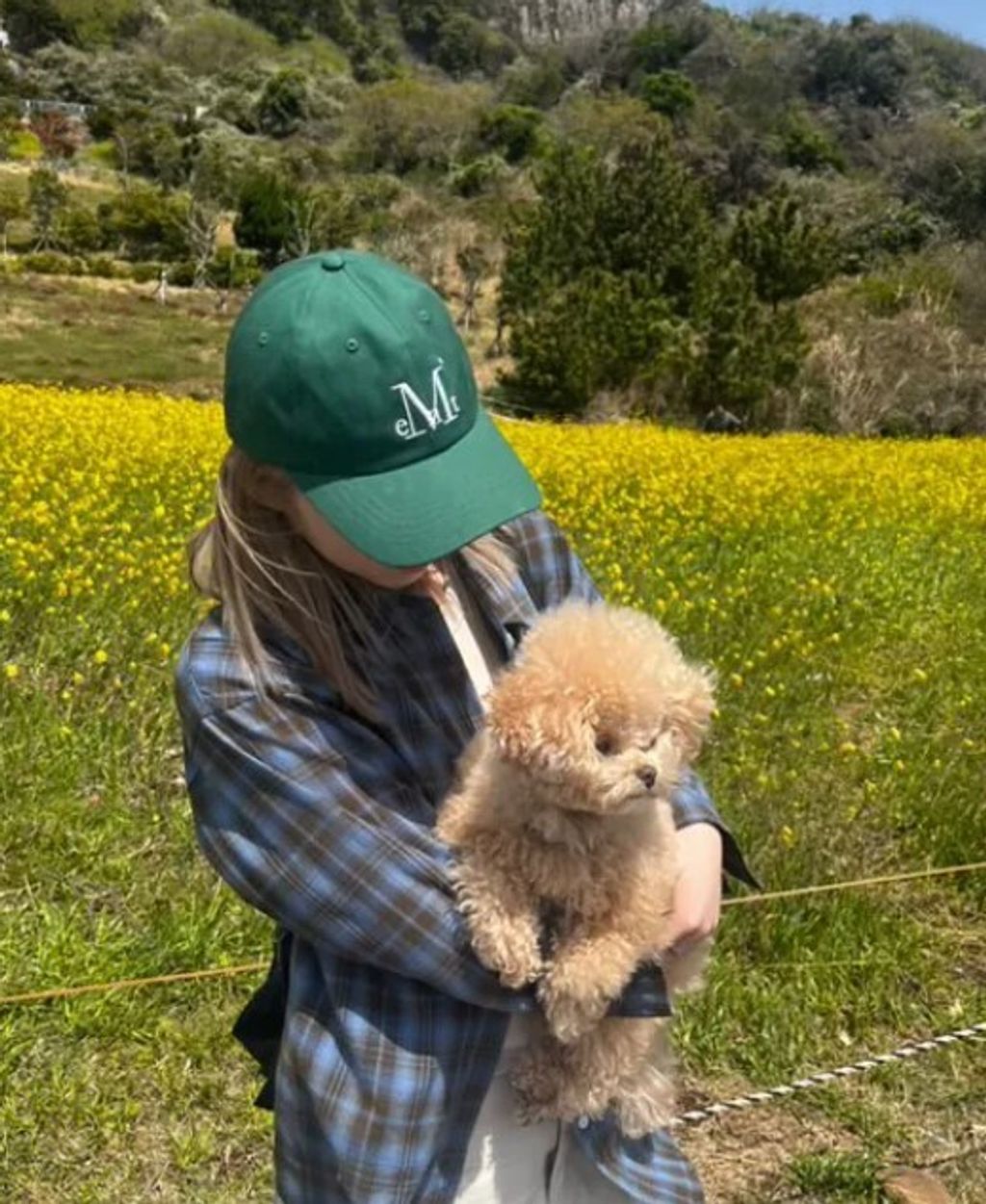 螢幕擷取畫面 2025-08-12 145032