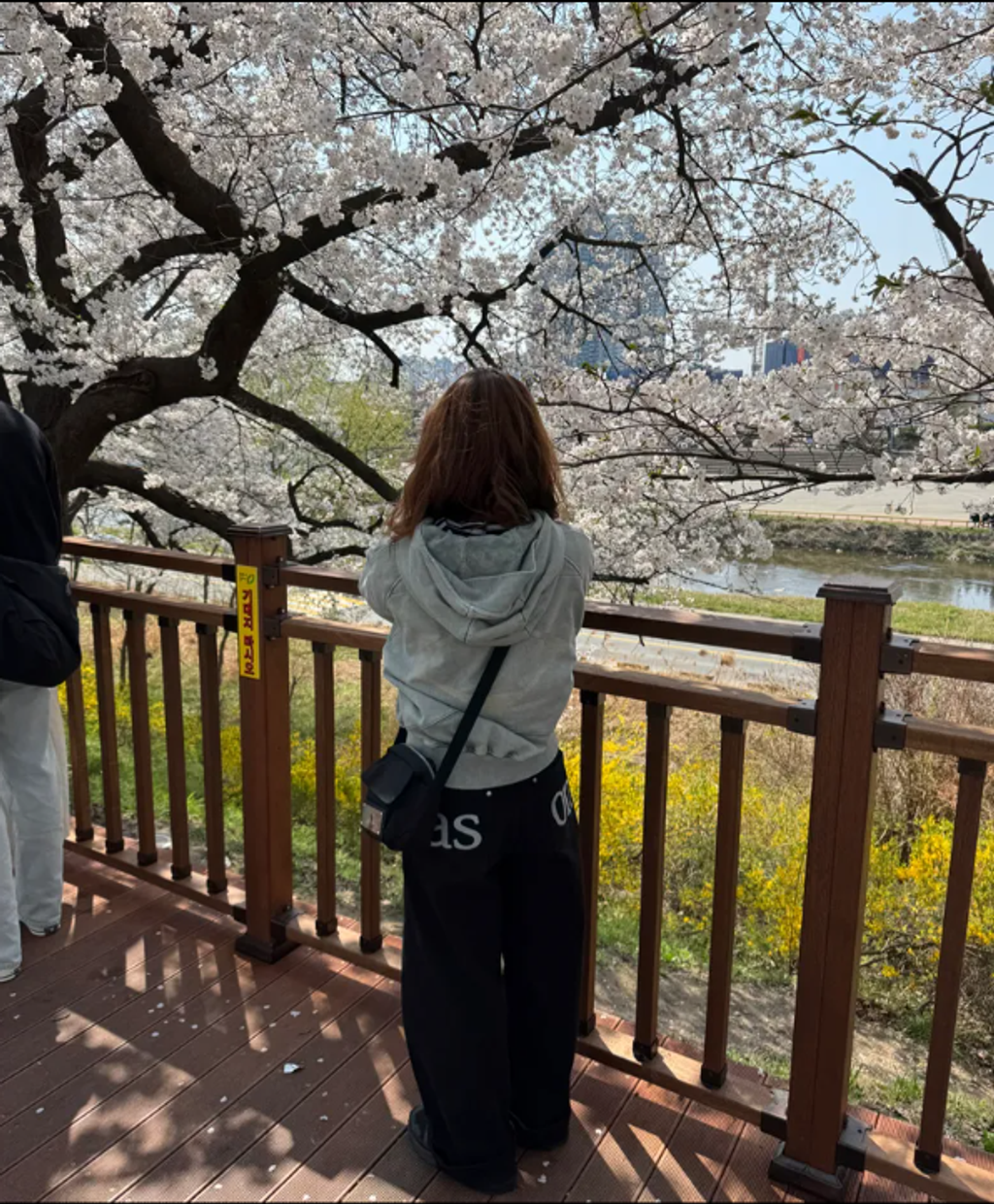 Snipaste_2025-11-23_14-31-25