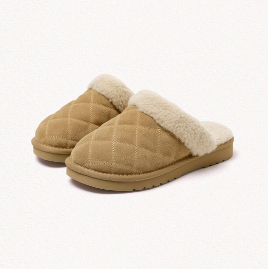 截圖 2026-01-13 14.12.20