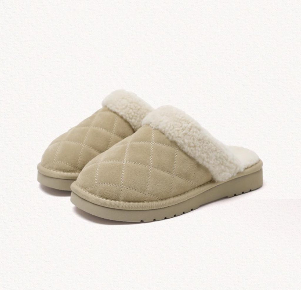 截圖 2026-01-13 00.38.28