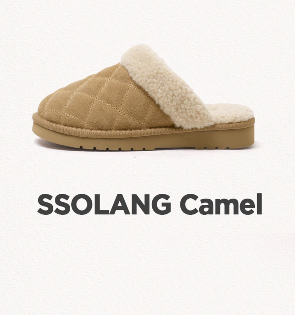 截圖 2026-01-13 00.37.59