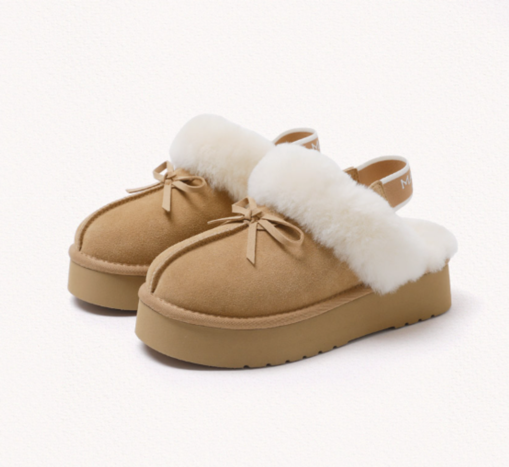 截圖 2026-01-13 14.28.14