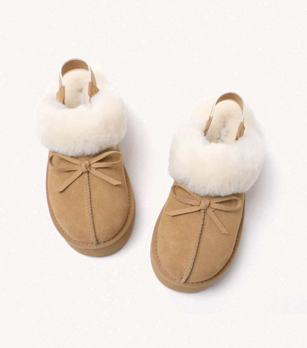 截圖 2026-01-13 14.28.18