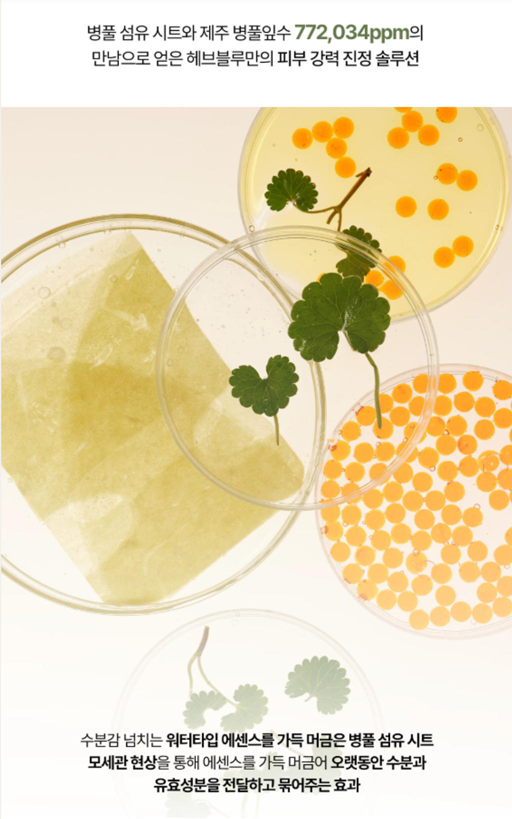 截圖 2026-01-14 16.00.47