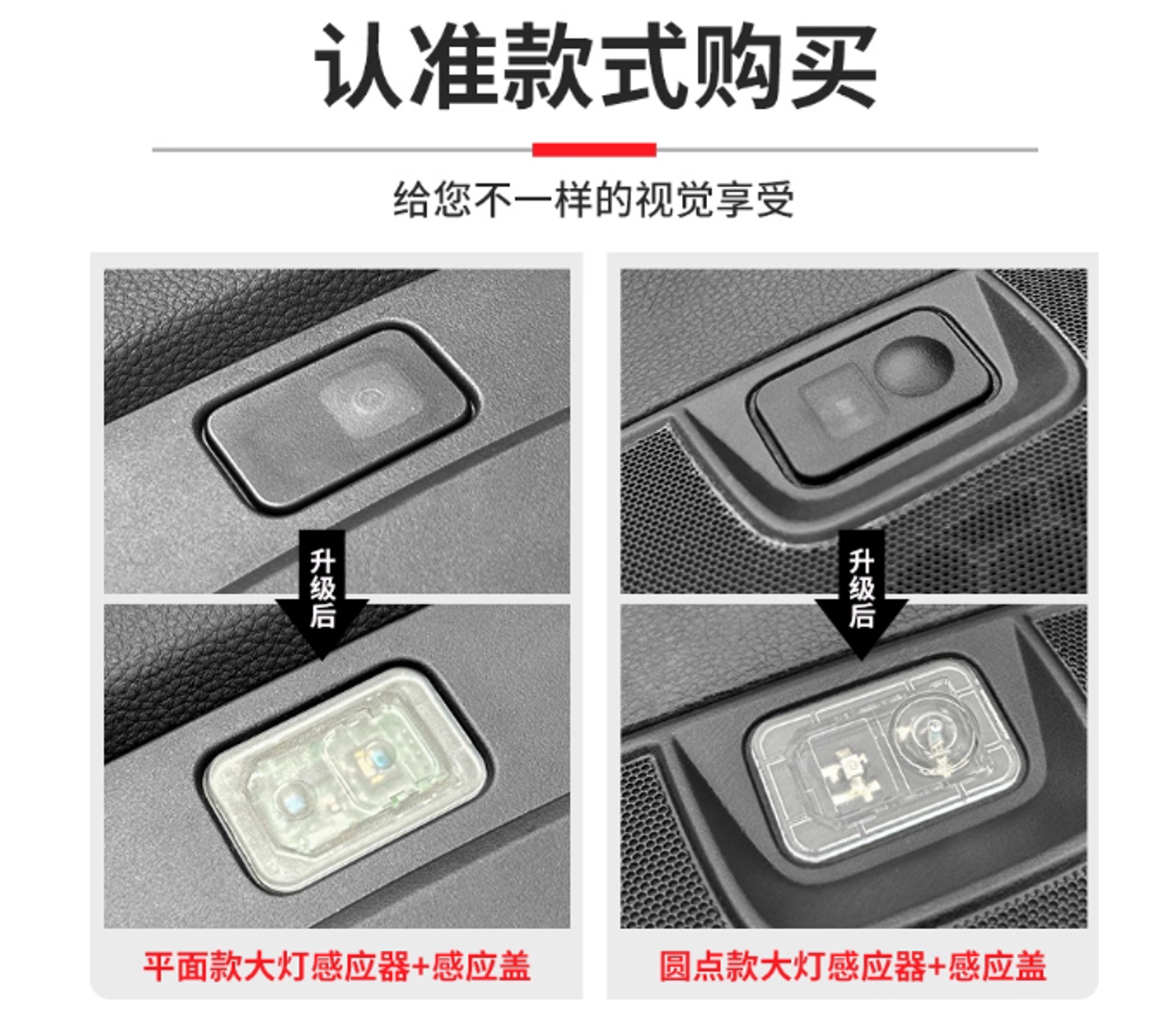 https://cdn.store-assets.com/s/1423584/f/16026545.png
