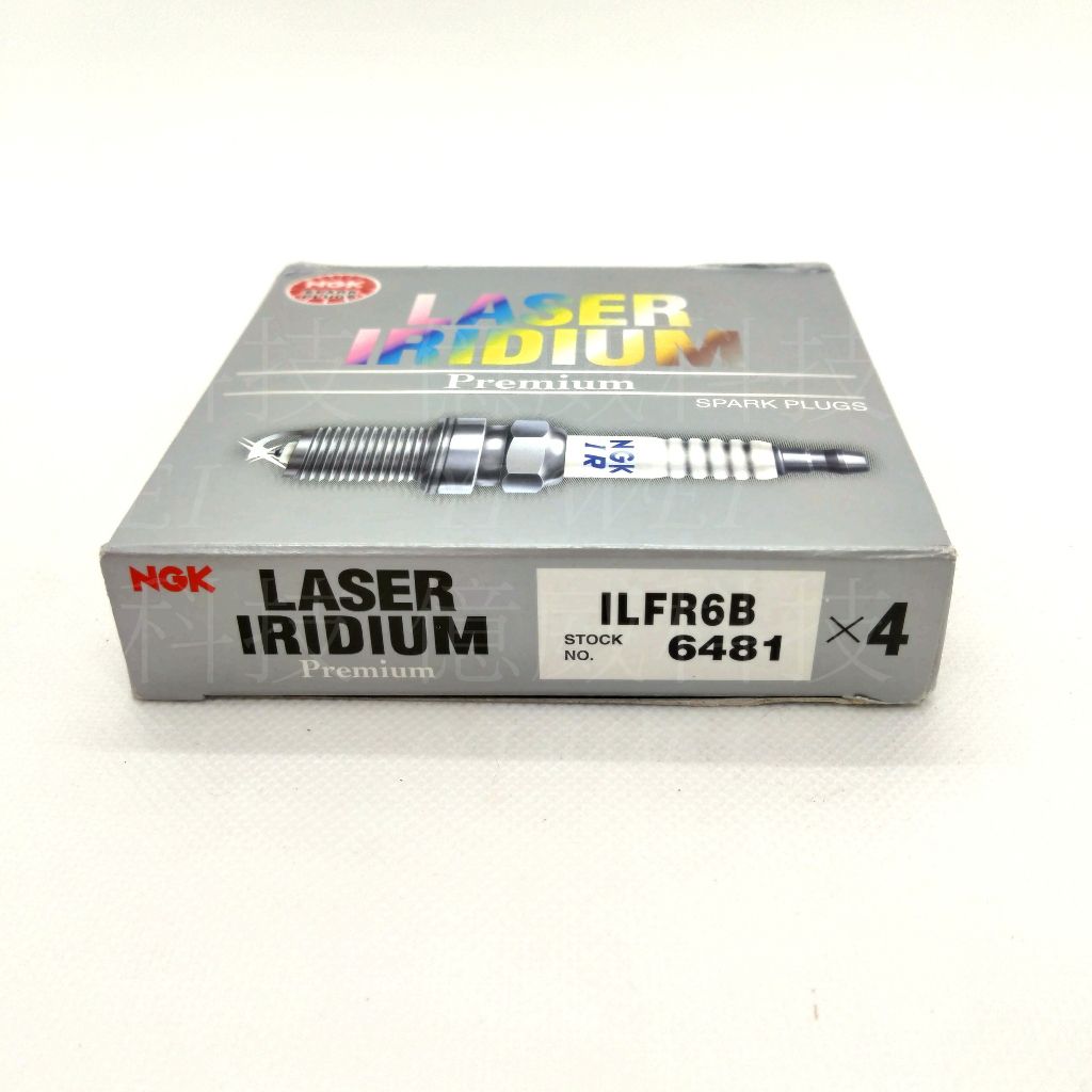 tw-11134207-81ztj-mfcgrjotg4jt7f