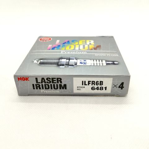 tw-11134207-81ztj-mfcgrjotg4jt7f