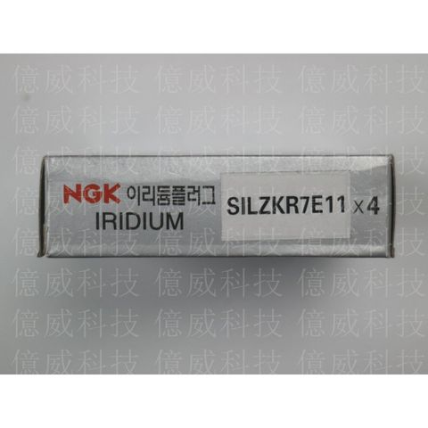 tw-11134207-7r98p-lodsrwhhhtdmab