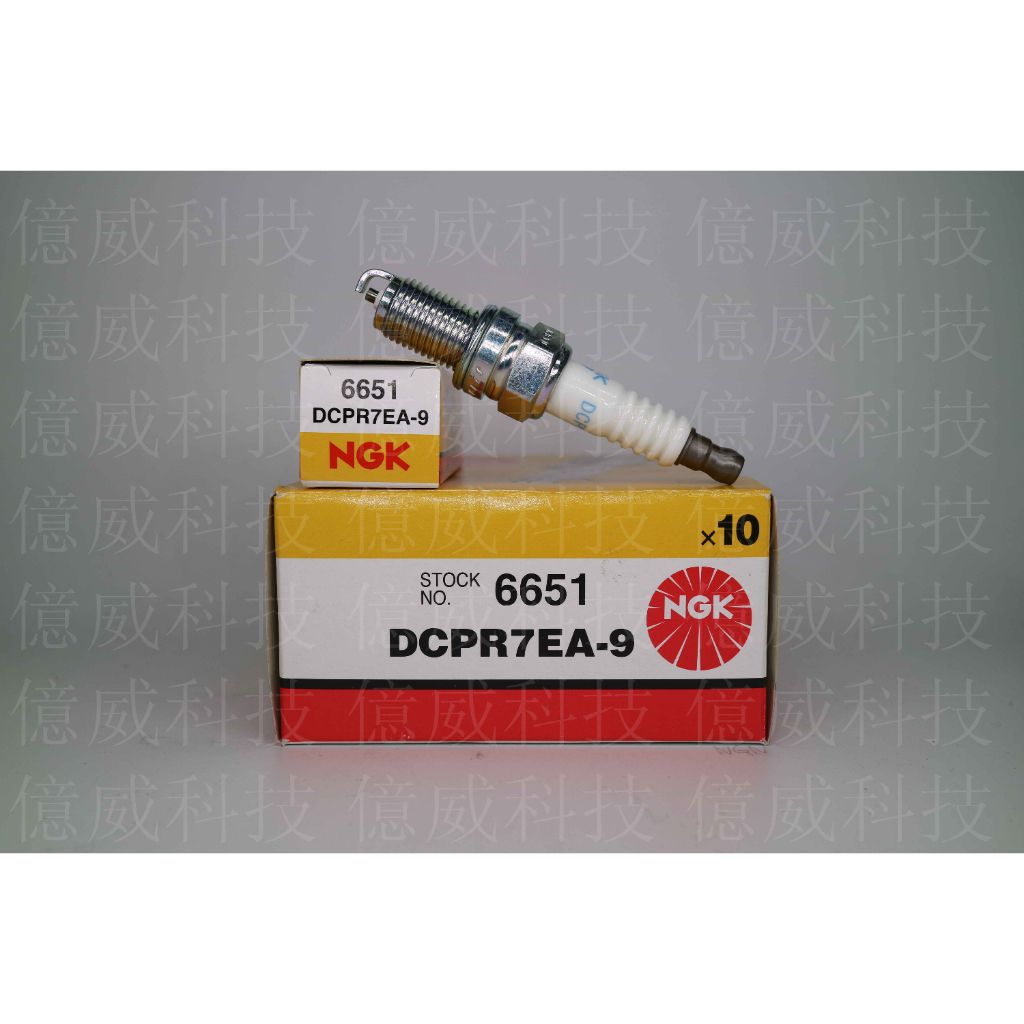 tw-11134207-23030-pja5x4911dovbb