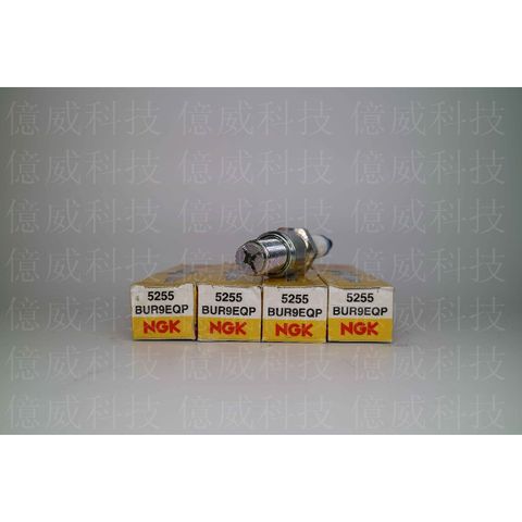 tw-11134207-7r98x-llzqg3ugq1ej86