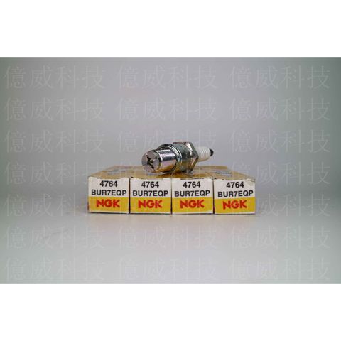 tw-11134207-7r98q-llzqg3ugsujf83