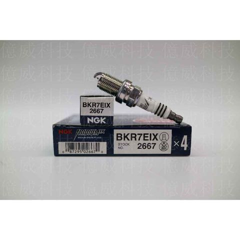 tw-11134207-7r98t-lolx8ubjh24a6a