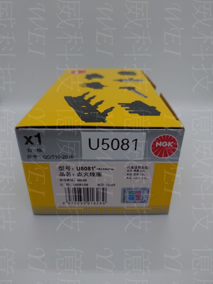 U5081