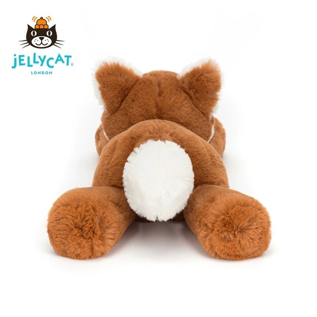 image_A937F584-709A-4566-984A-391F5AAFDEE8_1774952219