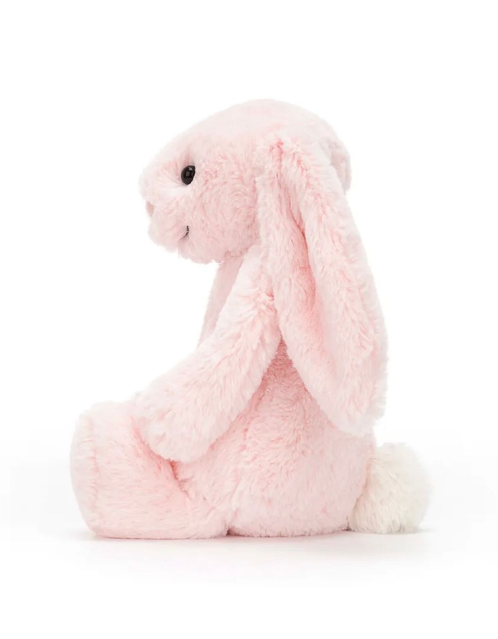 image_1AE4E24C-59FF-438C-9E9B-24A11D927447_1759587046