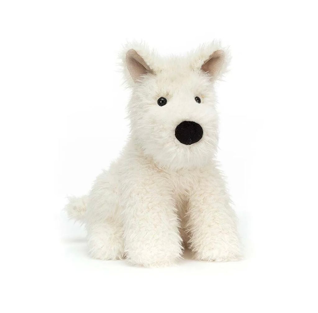 image_DFC0EB2E-9A41-49E6-A4D3-84B296B92CA1_1760167728