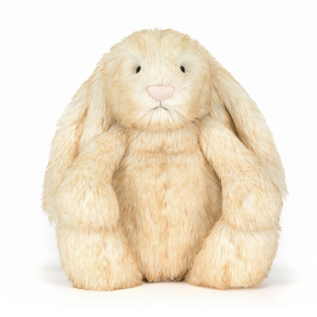 BAH2LPB_4__99756.1765311965