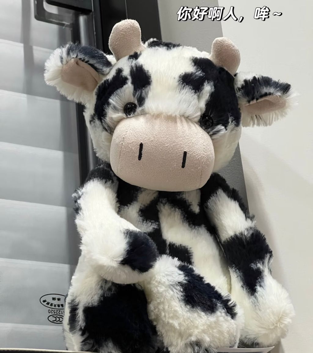 image_DDD03E62-4829-4917-A63A-2C1A152DF346_1768620045