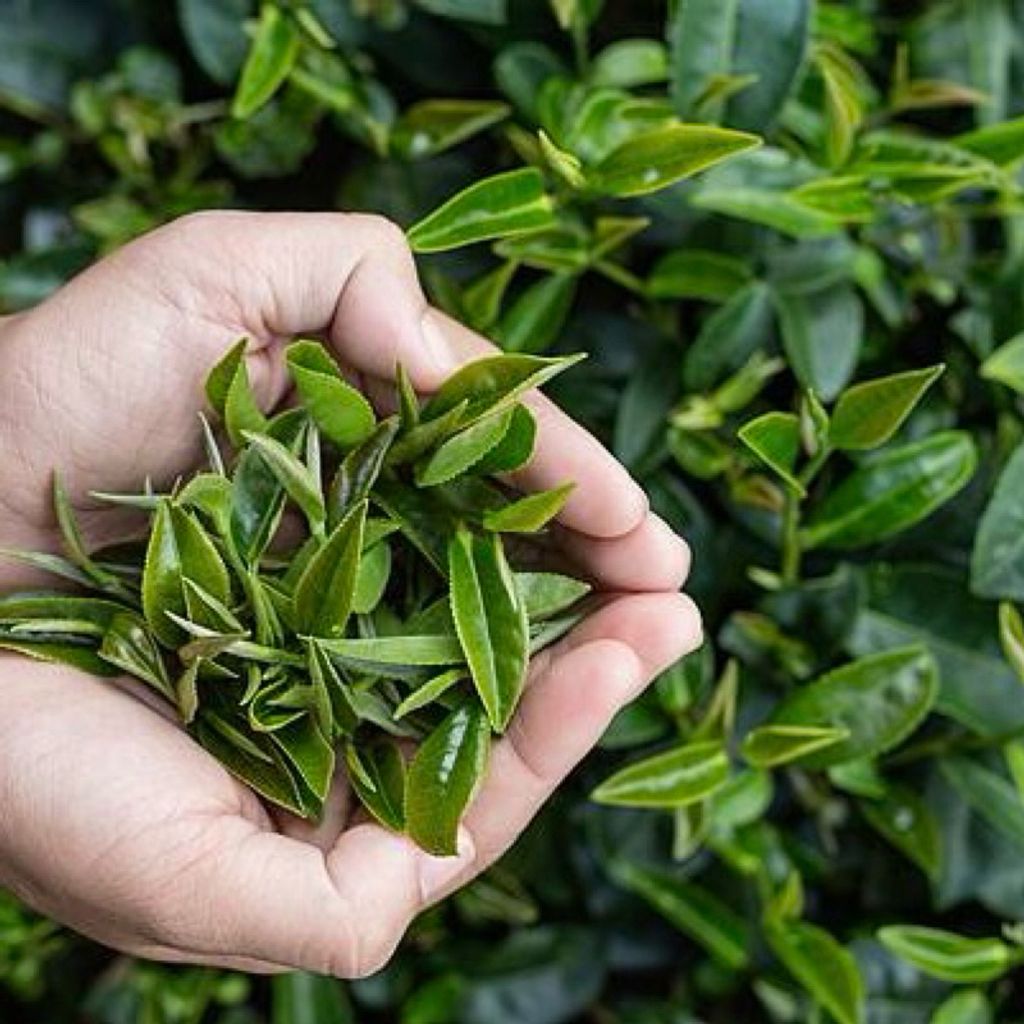 sg-11134207-7ra2n-m5cgc35rm0bb7c