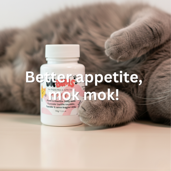  | DrBims