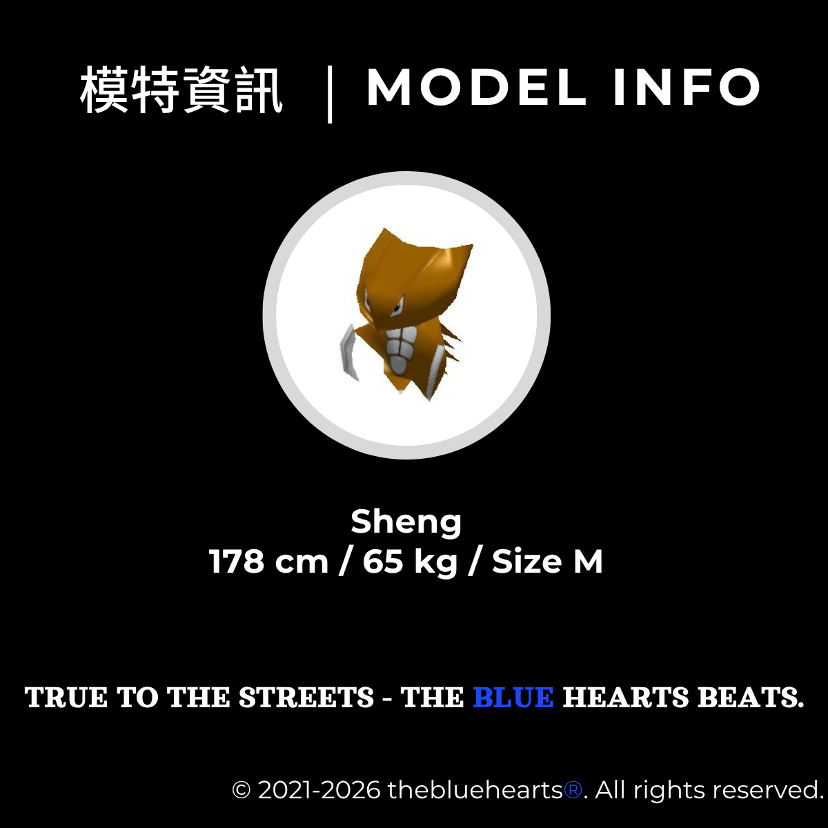 MODEL INFO