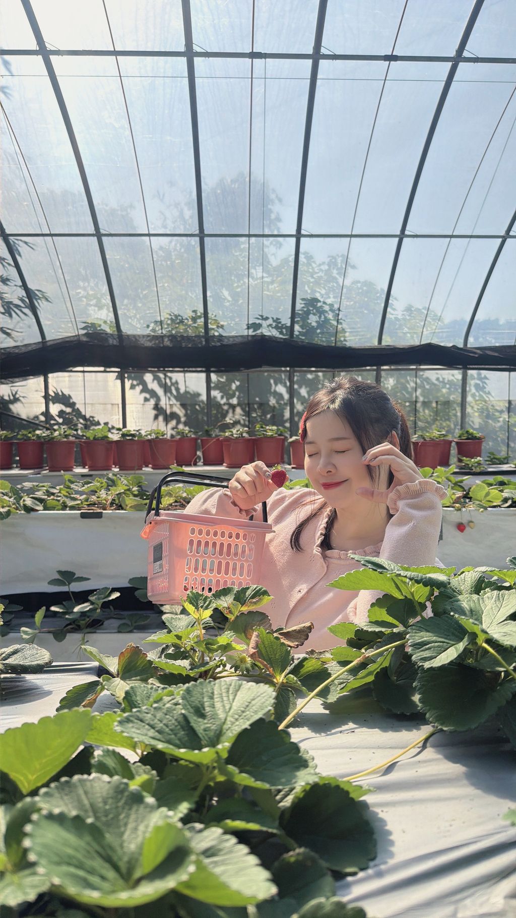 image_B87341E4-AC1D-4559-A646-753C6298349F_1771950321