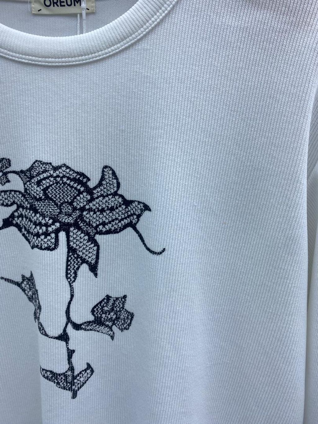 WhatsApp Image 2026-03-07 at 2.24.35 PM (1)