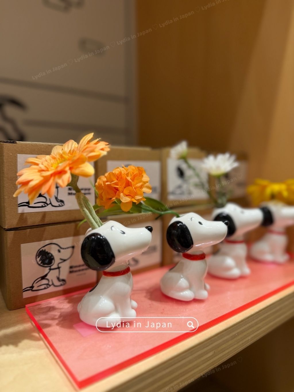 image_3B327255-7954-4622-B64B-A0E5559F82F1_1787282919