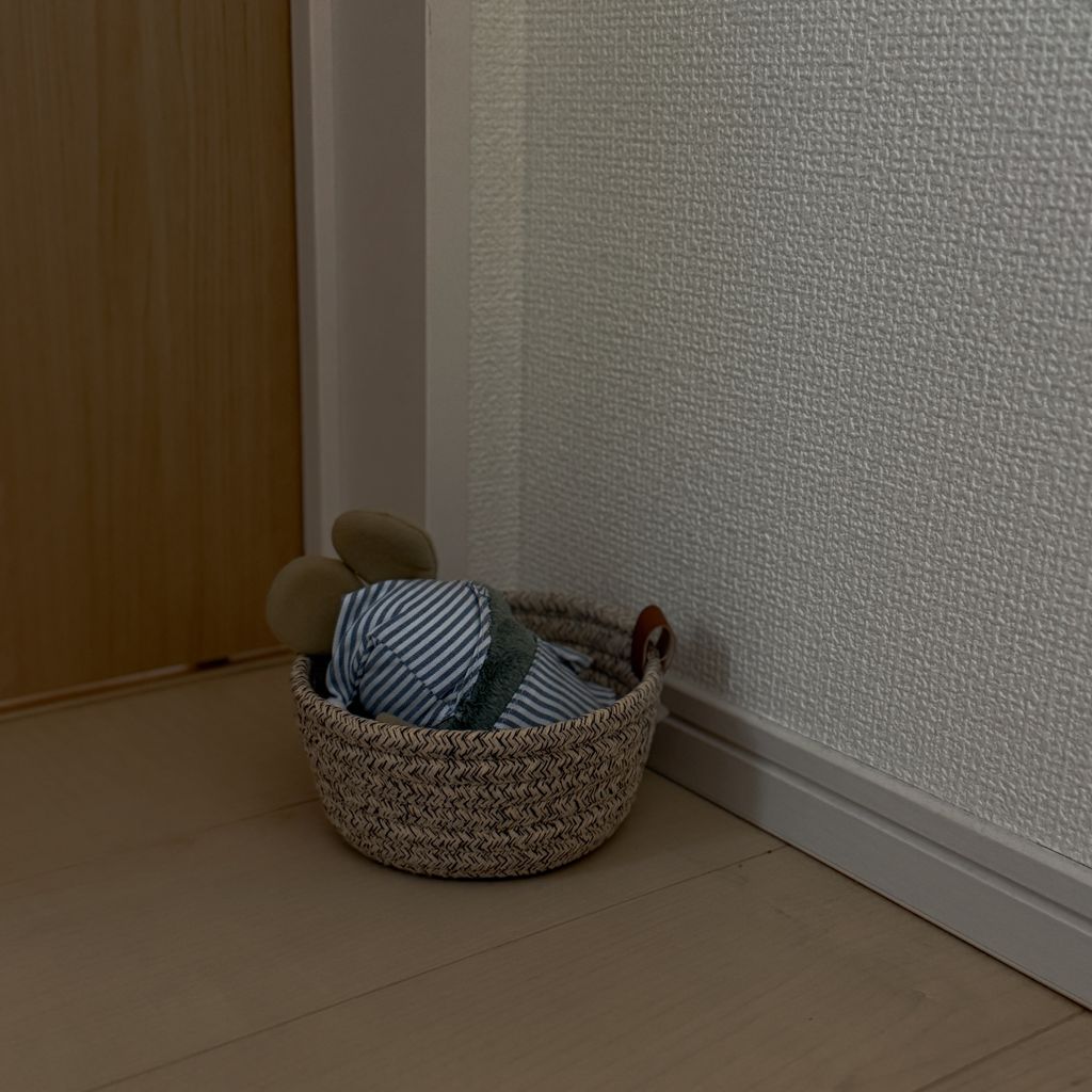 image_AB1CA4F1-E221-4204-80BD-3968E94CB035_1787556746