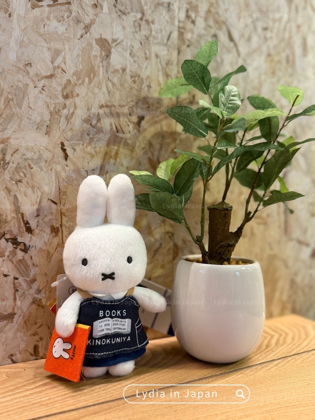 image_077E7862-607B-428A-AF69-3C681D6EF9A3_1762306169