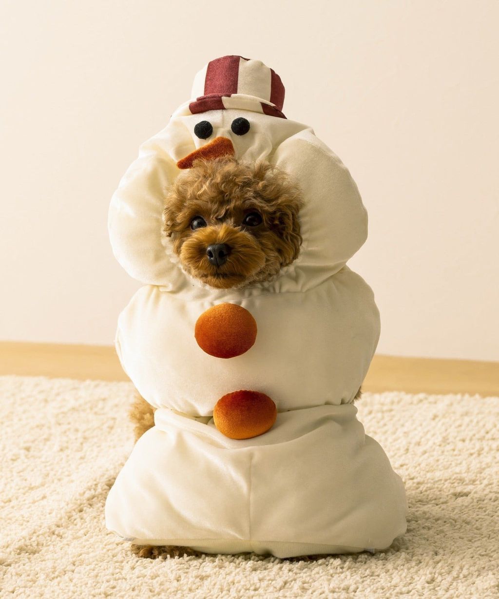 imgi_14_676385_2827631_1