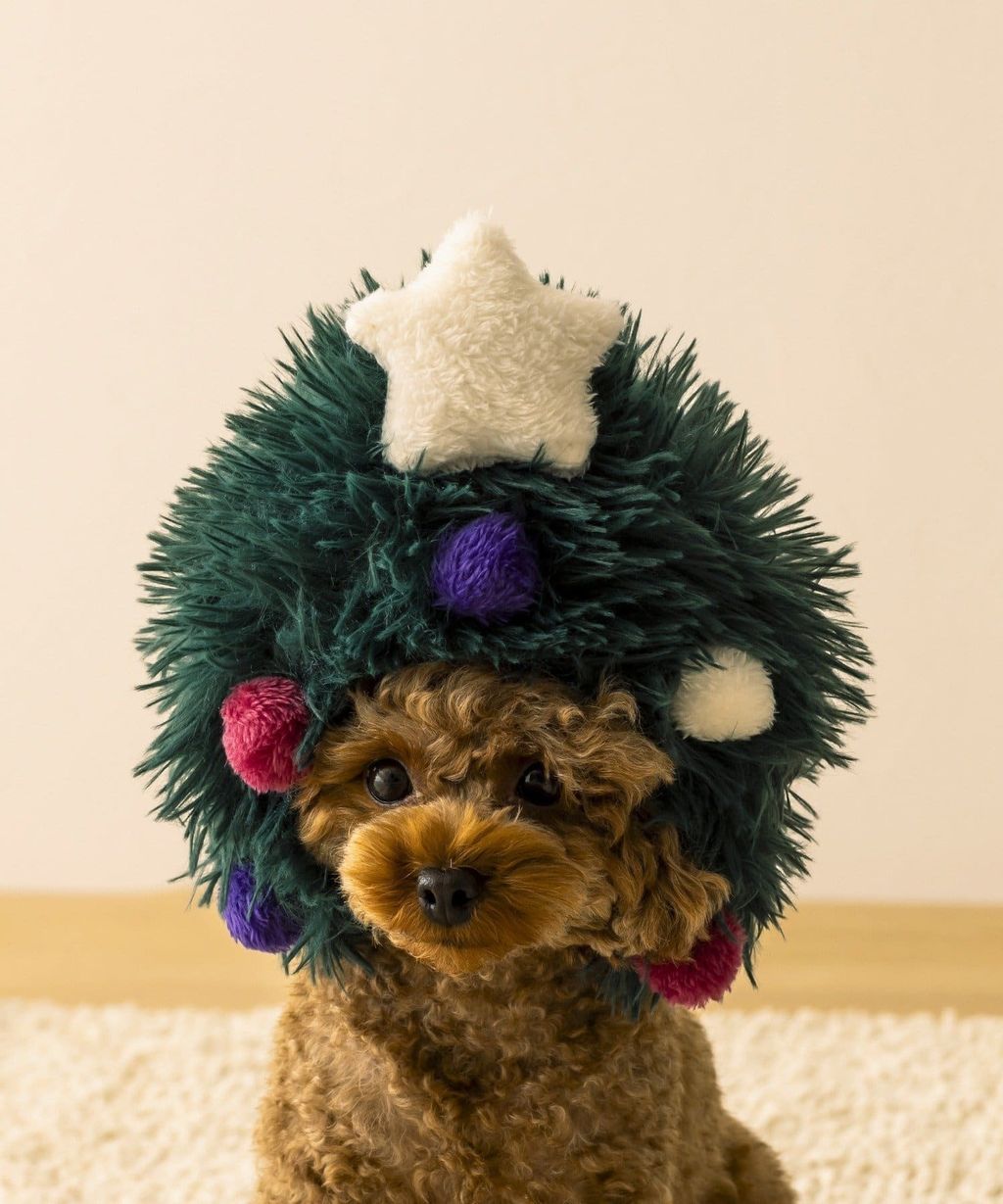 imgi_14_676384_2827630_1